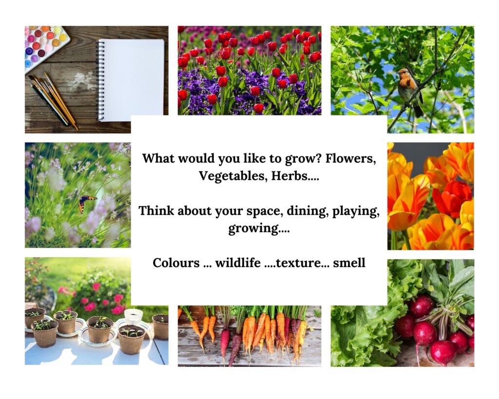 collage photos garden plan, colours, flowers, vegetables, wildlife garden