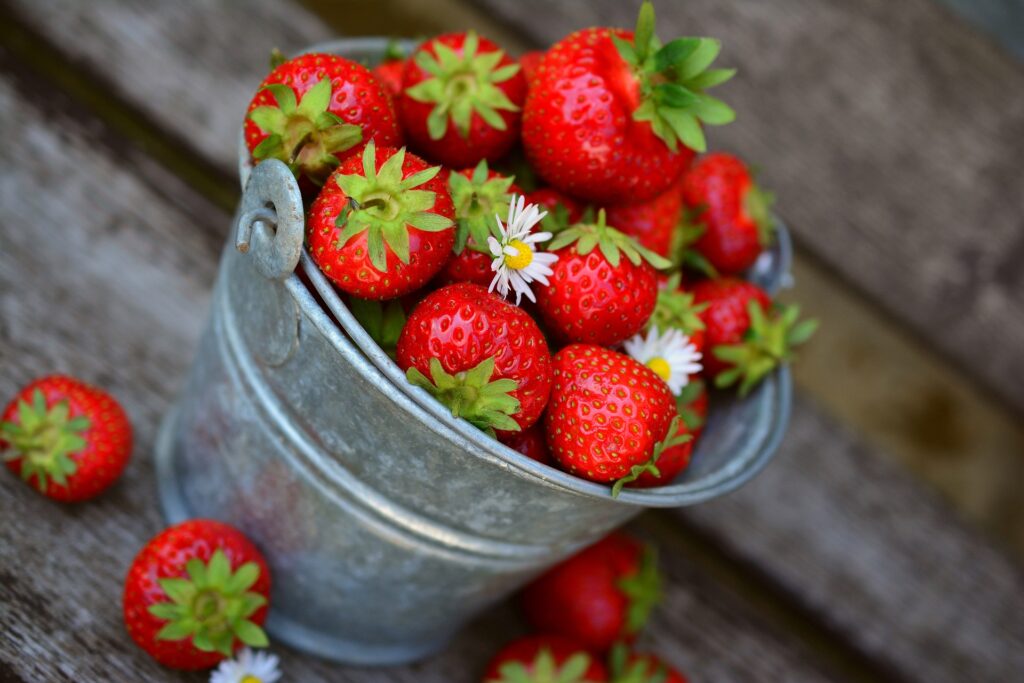 Strawberrys in a metal bucket