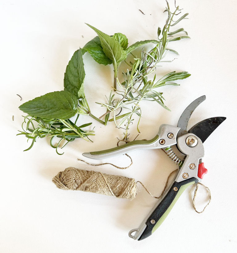 secateurs, string and herbs on white background