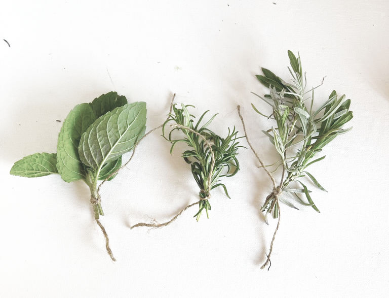 herbs tied with string in bundles