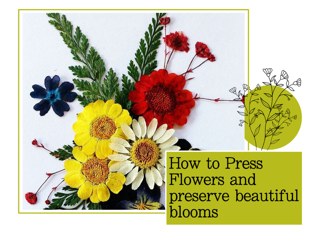 pressing flowers blog feature image