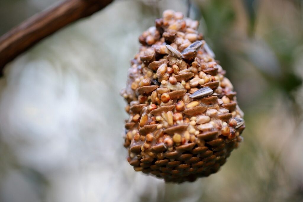natural bird feeder pinecone and seed bird feeder